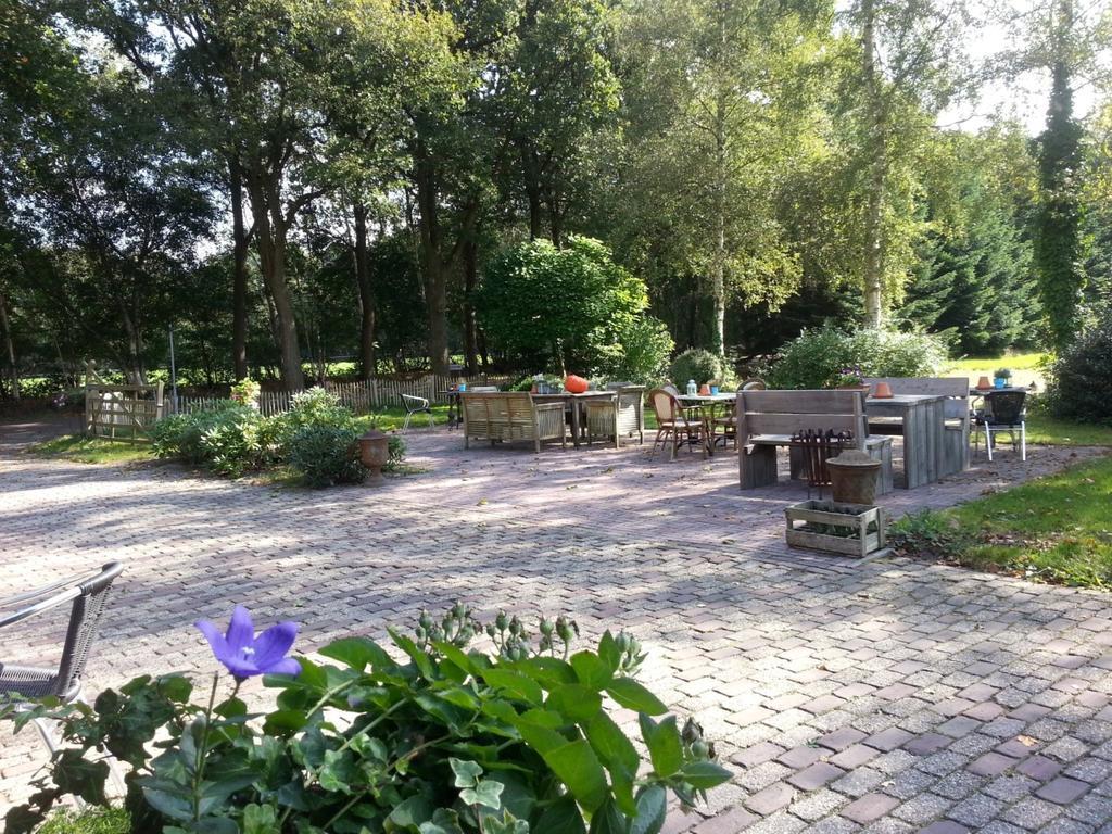 Bed and Breakfast Het Bonte Paard Dwingeloo Exterior foto