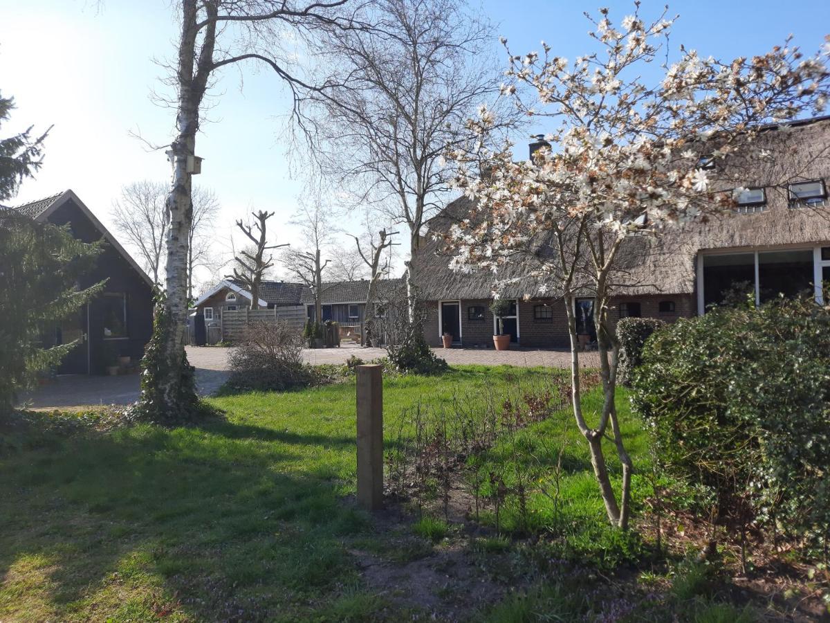 Bed and Breakfast Het Bonte Paard Dwingeloo Exterior foto