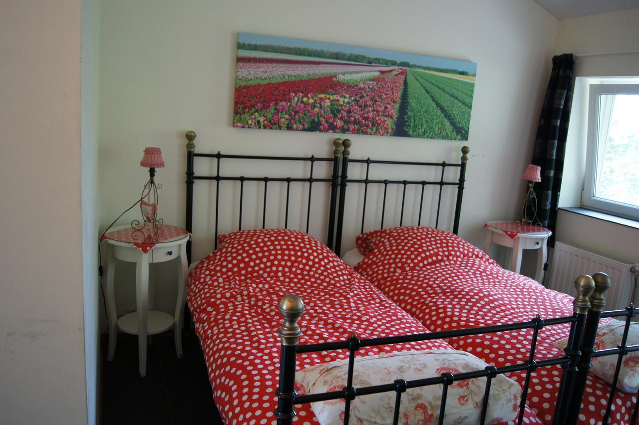 Bed and Breakfast Het Bonte Paard Dwingeloo Exterior foto
