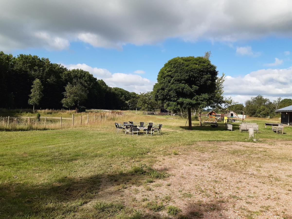 Bed and Breakfast Het Bonte Paard Dwingeloo Exterior foto